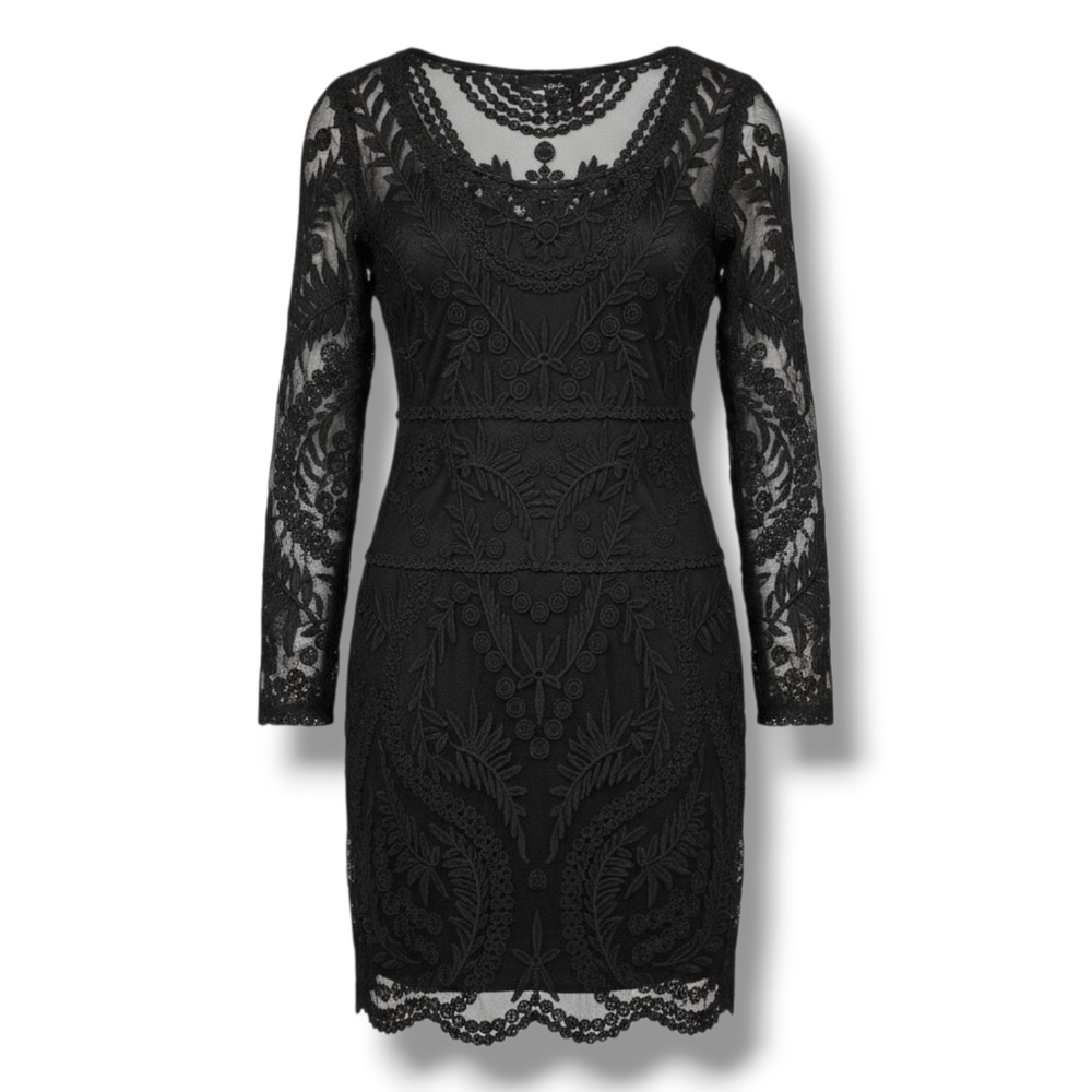 Express Black Lace Long-Sleeve Sheath Dress